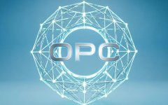 OPC（一人公司）：基本概念、发展历程与行业发展趋势