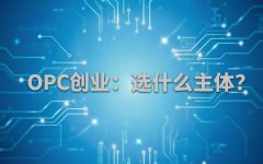 OPC创业：从个人到有限公司，5种创业主体怎么选？