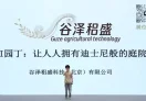 谷泽稆盛科技