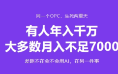 OPC公司到底靠什么生存：年入千万和月入7000的差距，不在AI