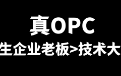 真OPC原生老板居多，技术大牛其次