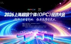 2026上海OPC一人公司新规落地：零基础也能抓住的轻创业窗口