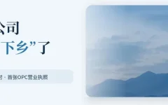 OPC下乡记:乡村也可以是一人公司的新天地