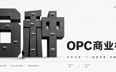6种OPC商业模式：从内容创富到微SaaS，一人公司的六条可行路径