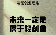 别再用“勤奋”感动自己：OPC时代，轻资产创业的本质是“资产化”