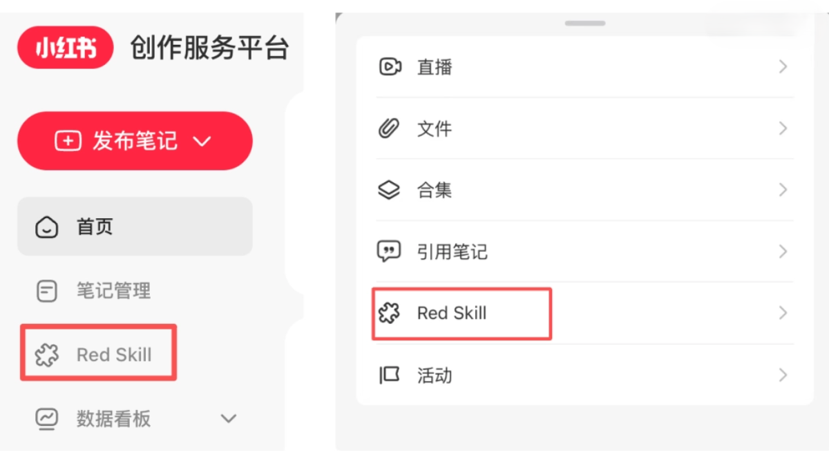 Red-Skill-website