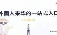 Tripilot AI