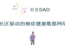 智愈 DAO