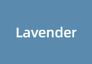 Lavender Hill Capital Partners