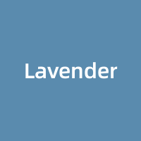 Lavender Hill Capital Partners