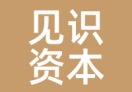 见识资本