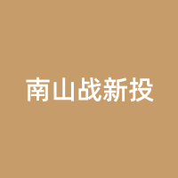 南山战新投