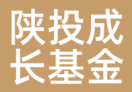 陕投成长基金