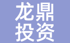 龙鼎投资