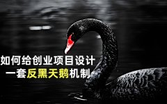 如何给创业项目设计一套反黑天鹅机制