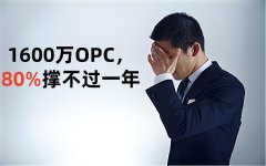 1600万OPC，80%撑不过一年