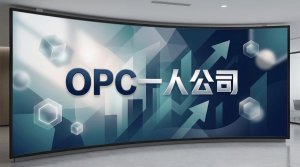 如何在12个月内从零搭建一人公司，实现从“卖时间”到“搭系统”的转型