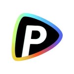 Pollo AI