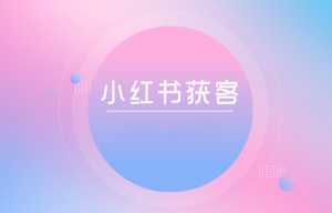 如何在14天内通过小红书内容获客，从0到拿到第一个付费客户询盘