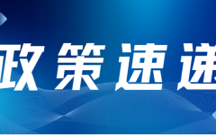 一人公司进入“制度精细期”