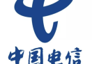 中国电信投资