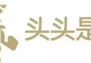 头头是道