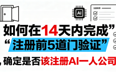 如何在14天内完成“注册前5道门验证”，确定是否该注册AI一人公司