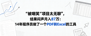 被嘲笑“项目太无聊”，结果闷声月入87万：14年程序员做了一个PDF转Excel的工具