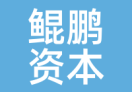 鲲鹏资本