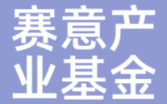 赛意产业基金