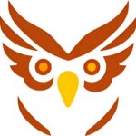 猫头鹰AI网页订阅